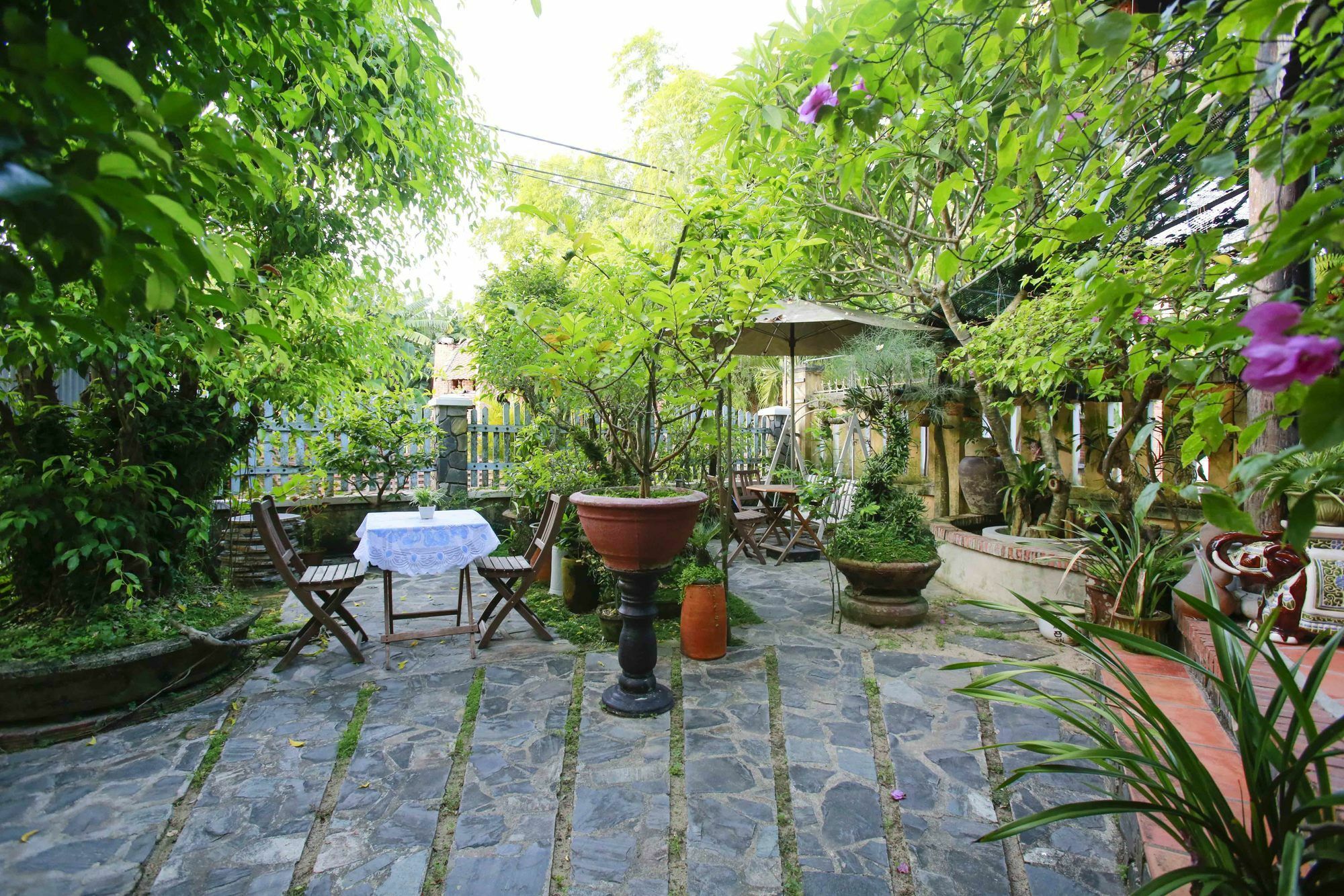 Terra Cotta Homestay Hoi An Eksteriør bilde
